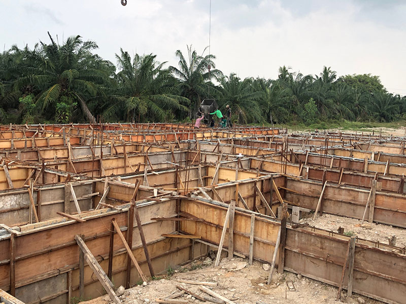 Bodhi 9April 800